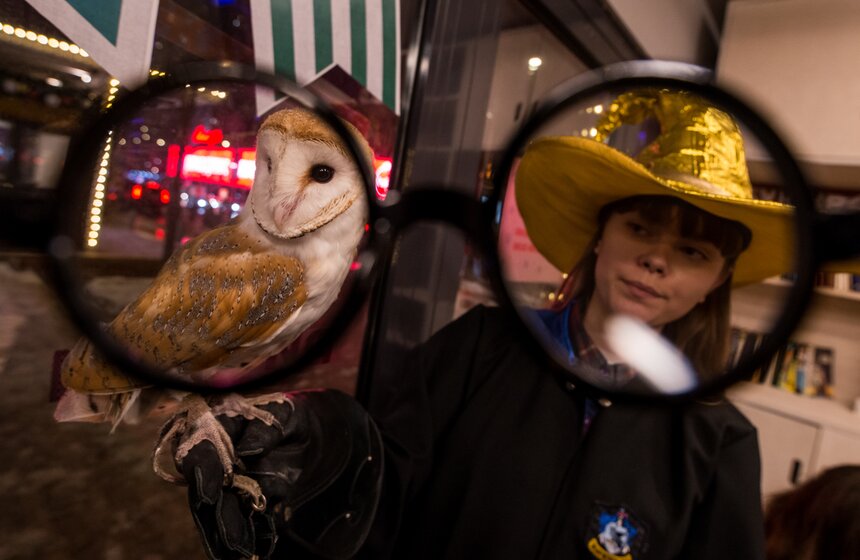 Алексей Немерюк открыл книжную ярмарку "Букмаркет" 11 фото