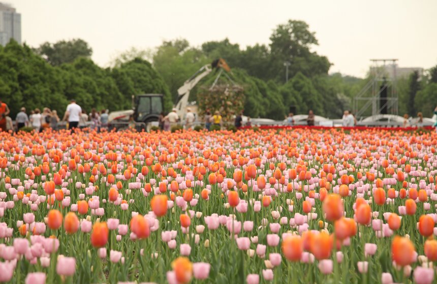 Цветочная инсталляция в парке Горького 6 фото