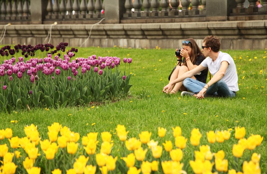 Цветочная инсталляция в парке Горького 4 фото