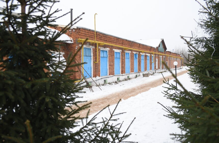 Как работает фабрика по производству елочных игрушек в Клину 2 фото