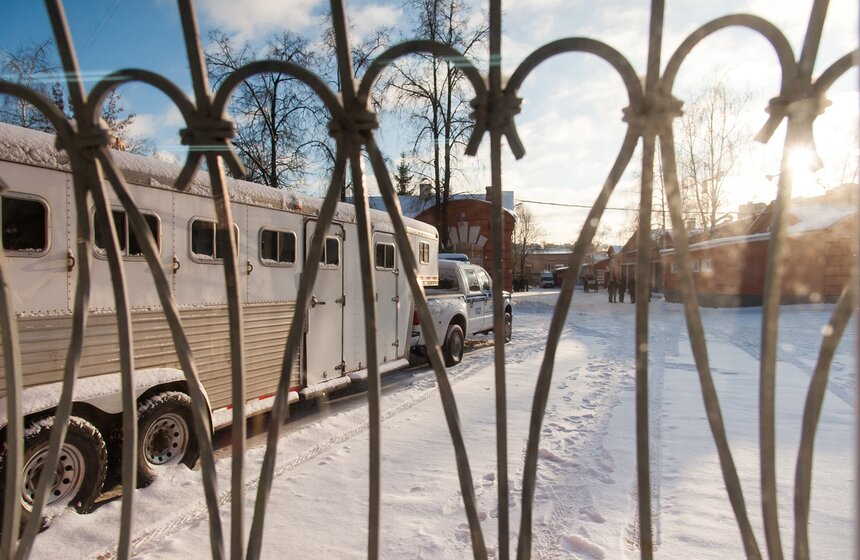 Солярии для лошадей конной полиции 14 фото