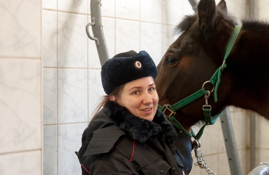 Солярии для лошадей конной полиции 19 фото