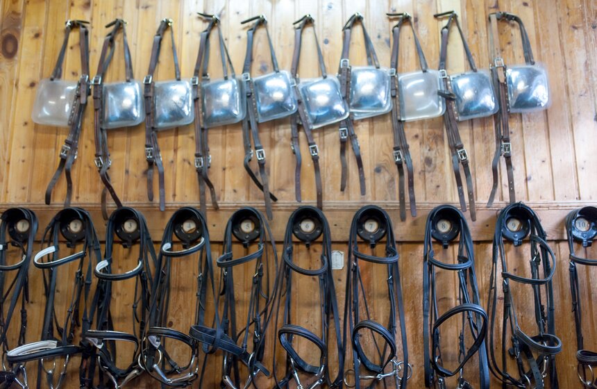 Солярии для лошадей конной полиции 24 фото