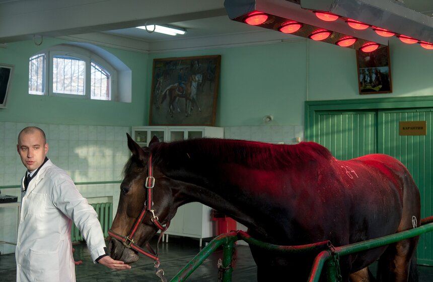 Солярии для лошадей конной полиции 7 фото