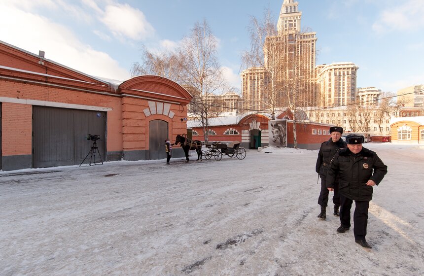 Солярии для лошадей конной полиции 1 фото