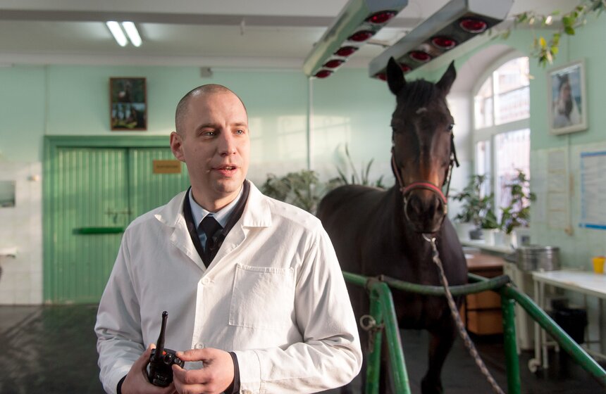 Солярии для лошадей конной полиции 4 фото