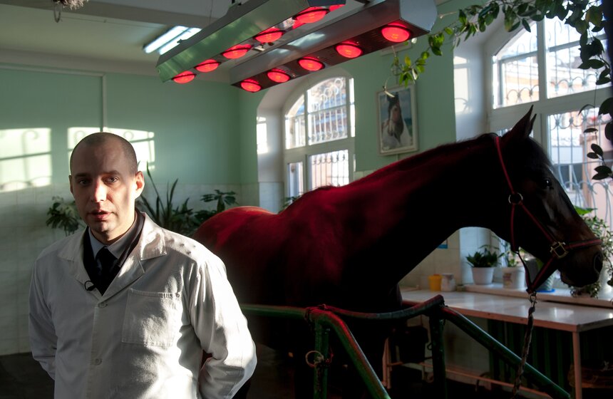 Солярии для лошадей конной полиции 6 фото