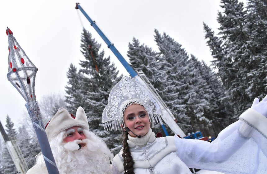 Как спиливали главную елку страны 13 фото
