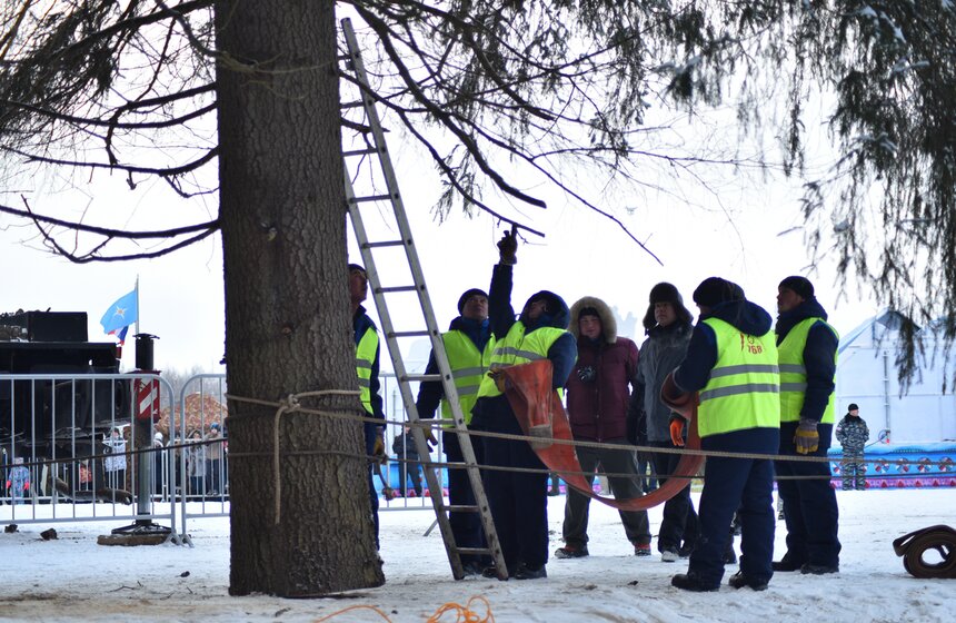 Как спиливали главную елку страны 30 фото