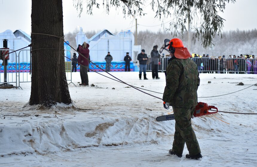 Как спиливали главную елку страны 24 фото
