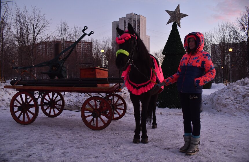 Спасатели МЧС поздравили маленьких пациентов Тушинской больницы 1 фото
