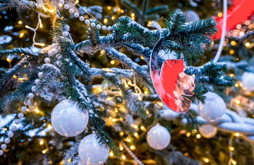 Презентация рождественских елок в дизайнерских нарядах 4 фото