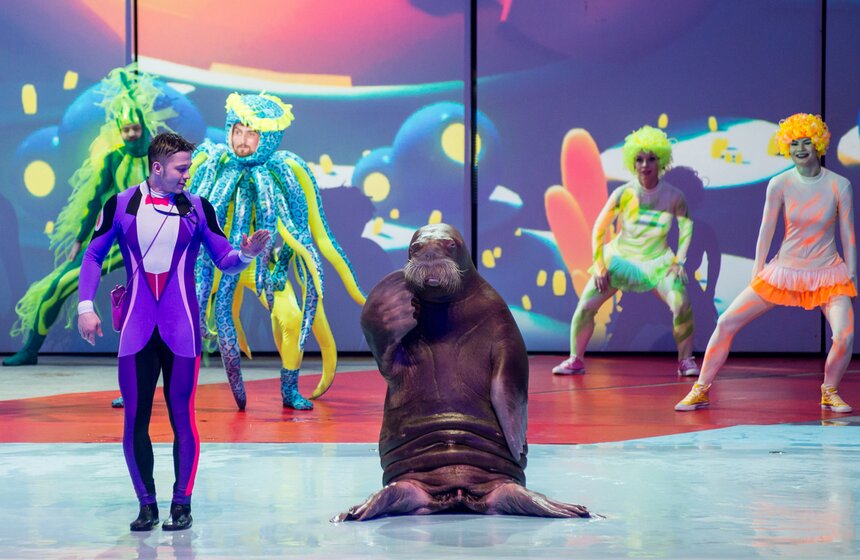 Пресс-показ шоу-мюзикла "Затерянный мир" 19 фото