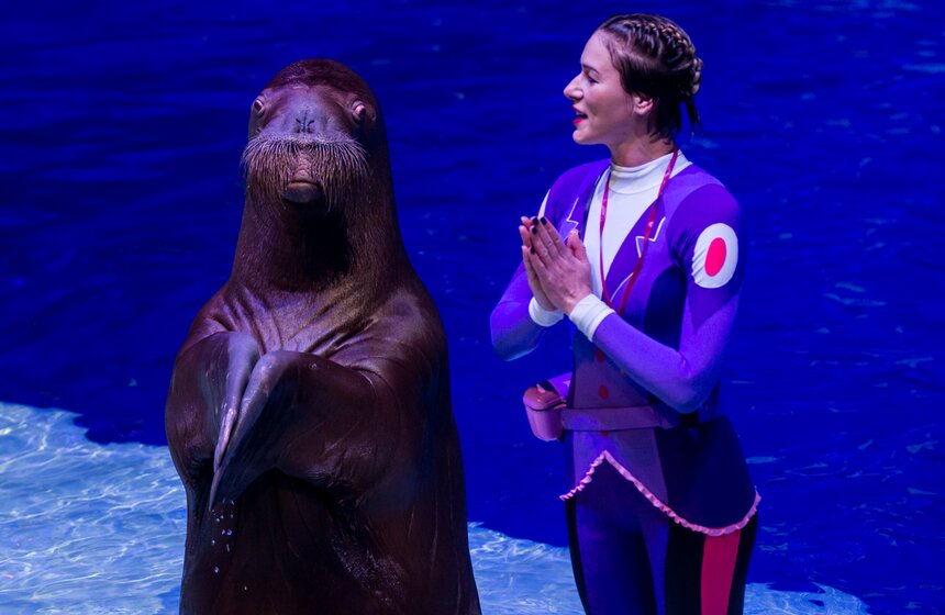 Пресс-показ шоу-мюзикла "Затерянный мир" 17 фото