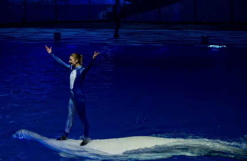 Пресс-показ шоу-мюзикла "Затерянный мир" 22 фото