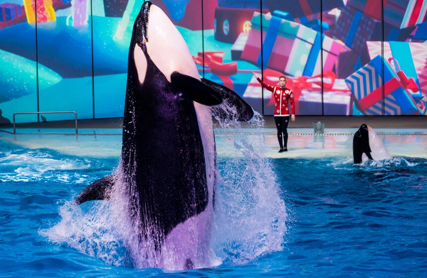 Пресс-показ шоу-мюзикла "Затерянный мир" 25 фото