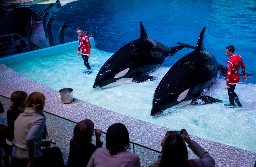 Пресс-показ шоу-мюзикла "Затерянный мир" 24 фото