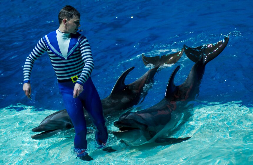 Пресс-показ шоу-мюзикла "Затерянный мир" 2 фото