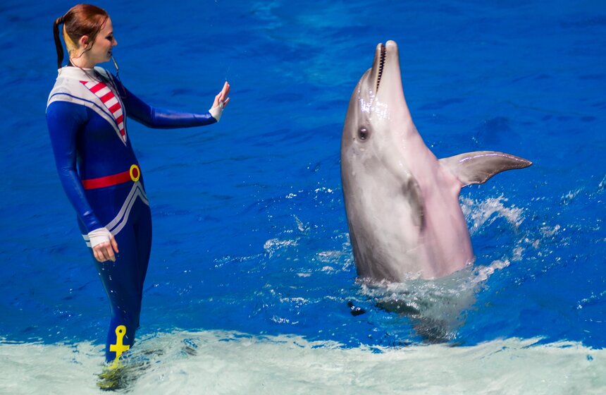 Пресс-показ шоу-мюзикла "Затерянный мир" 1 фото