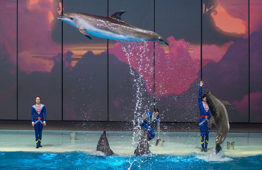 Пресс-показ шоу-мюзикла "Затерянный мир" 6 фото