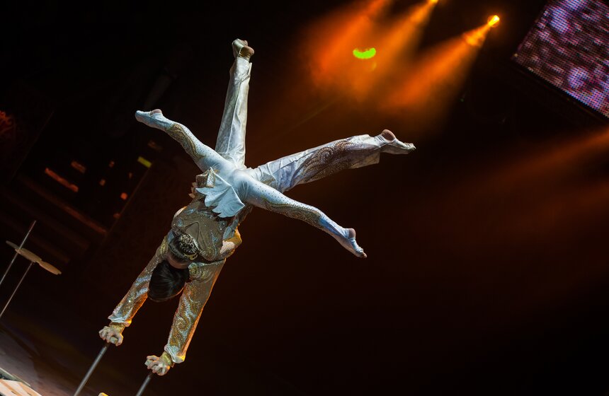 XV Московский международный молодежный цирковой фестиваль 24 фото