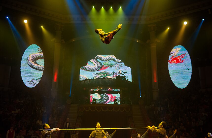 XV Московский международный молодежный цирковой фестиваль 6 фото