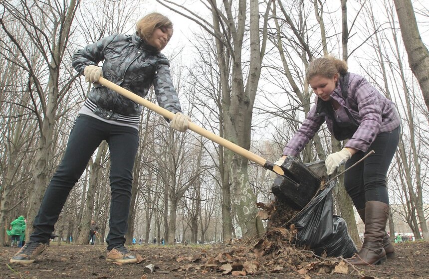 Сергей Собянин посадил деревья в ходе субботника 6 фото