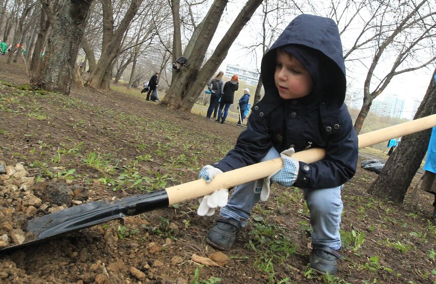 Сергей Собянин посадил деревья в ходе субботника 7 фото