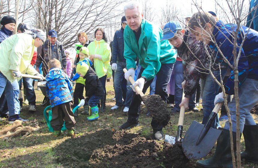 Сергей Собянин посадил деревья в ходе субботника 11 фото