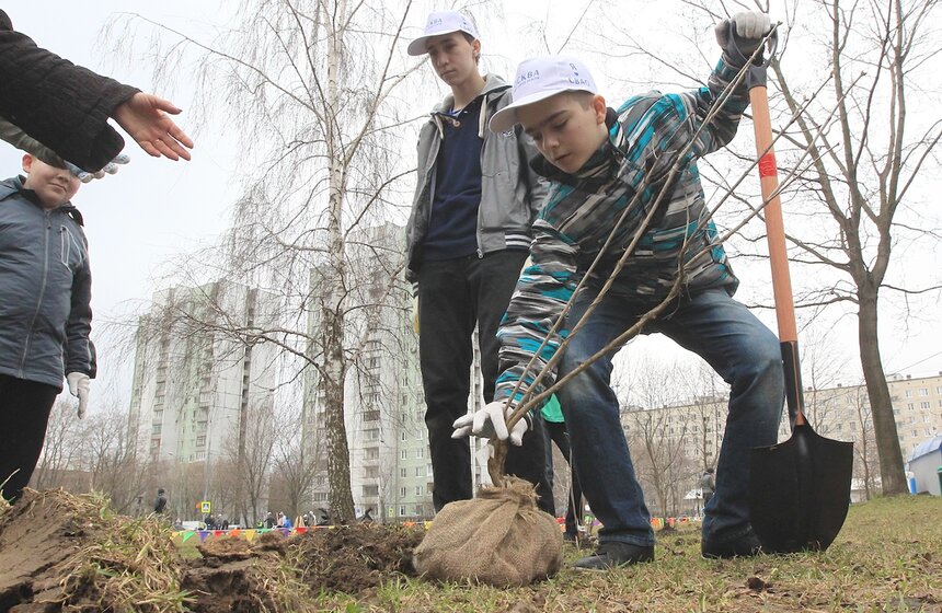 Сергей Собянин посадил деревья в ходе субботника 3 фото