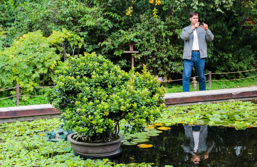 Фестиваль "Корень нового" и прогулка по "Аптекарскому огороду" 1 фото