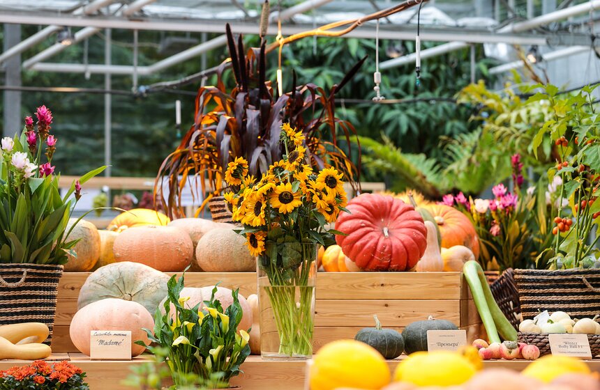 Фестиваль "Краски осени" в "Аптекарском огороде". Фоторепортаж 24 фото