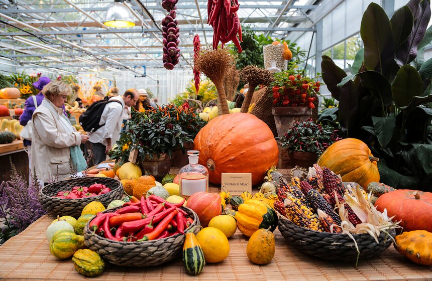 Фестиваль "Краски осени" в "Аптекарском огороде". Фоторепортаж 3 фото
