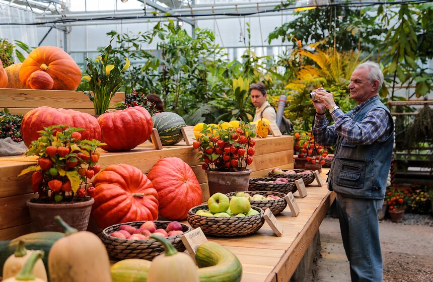 Фестиваль "Краски осени" в "Аптекарском огороде". Фоторепортаж 9 фото