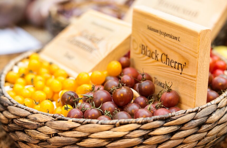 Фестиваль "Краски осени" в "Аптекарском огороде". Фоторепортаж 14 фото