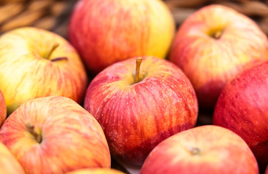 Фестиваль "Краски осени" в "Аптекарском огороде". Фоторепортаж 16 фото