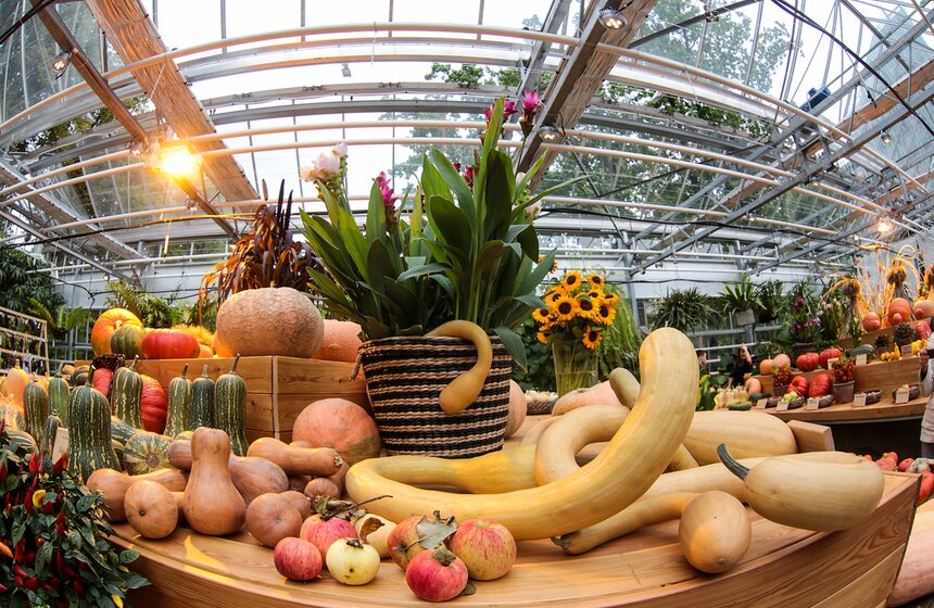 Фестиваль "Краски осени" в "Аптекарском огороде". Фоторепортаж 30 фото