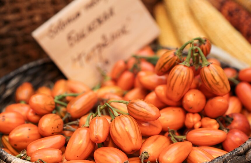 Фестиваль "Краски осени" в "Аптекарском огороде". Фоторепортаж 34 фото