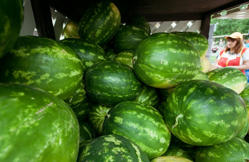 Арбузы в городе: в Москве открылись 264 бахчевых развала 12 фото