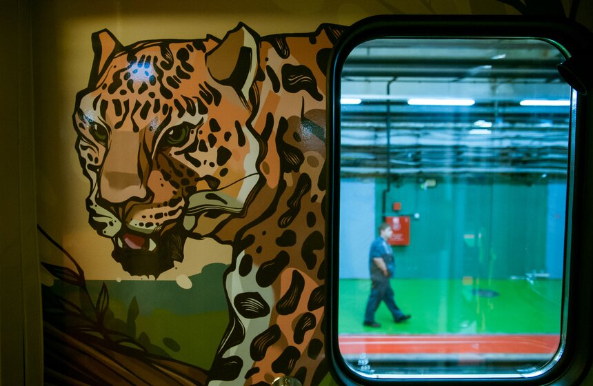 В метро запустили тематический поезд "Полосатый экспресс" 13 фото