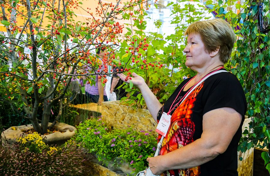 Международная выставка "Цветы-2016" 34 фото