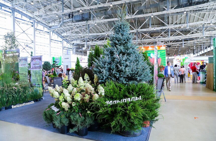 Международная выставка "Цветы-2016" 22 фото