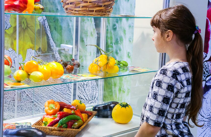 Международная выставка "Цветы-2016" 20 фото