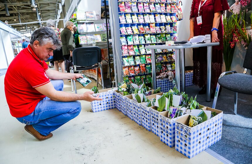 Международная выставка "Цветы-2016" 27 фото