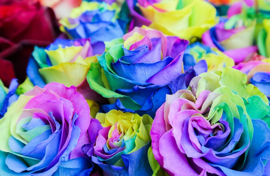 Международная выставка "Цветы-2016" 31 фото