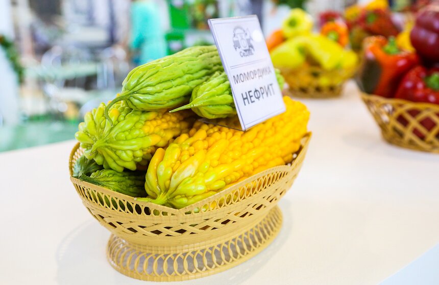 Международная выставка "Цветы-2016" 8 фото