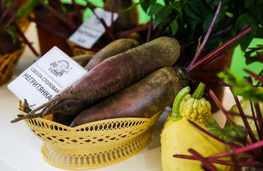 Международная выставка "Цветы-2016" 6 фото