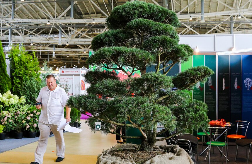 Международная выставка "Цветы-2016" 12 фото