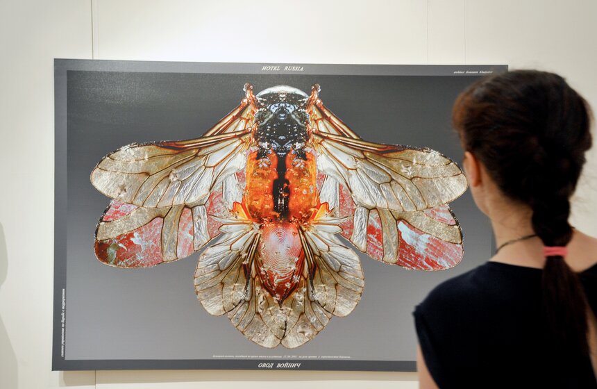 "На Каширке" представили международный проект "ИНСАЙТ" 23 фото