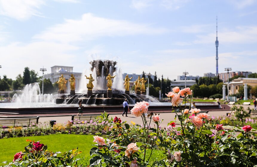 Исторические цветники ВДНХ 10 фото